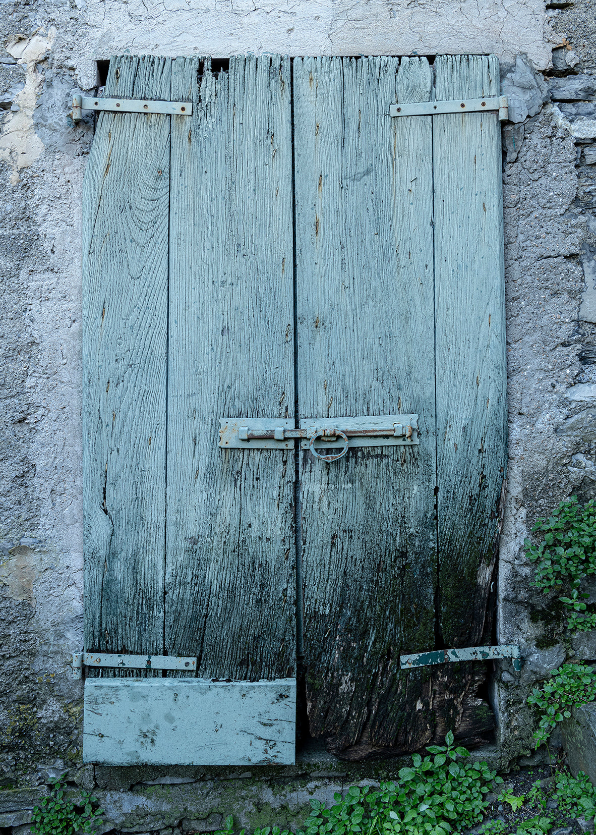 Old Green Plank Door Near Castello di Vezio