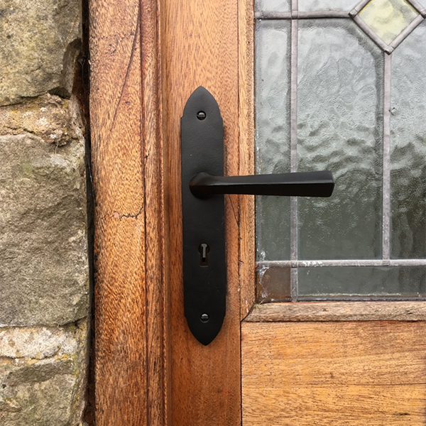 Black front door deals handle