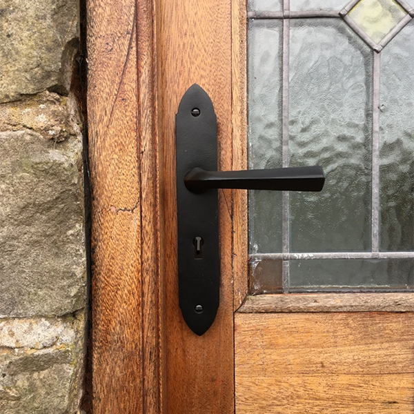 Grafton front doors handles SHOW