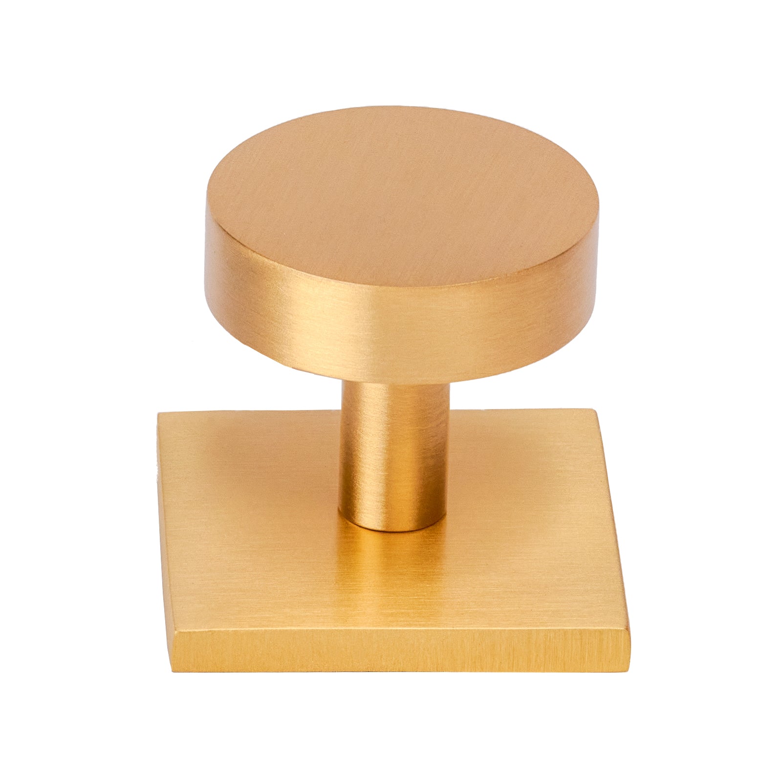 Satin Brass disc cabinet knob on backplate SHOW