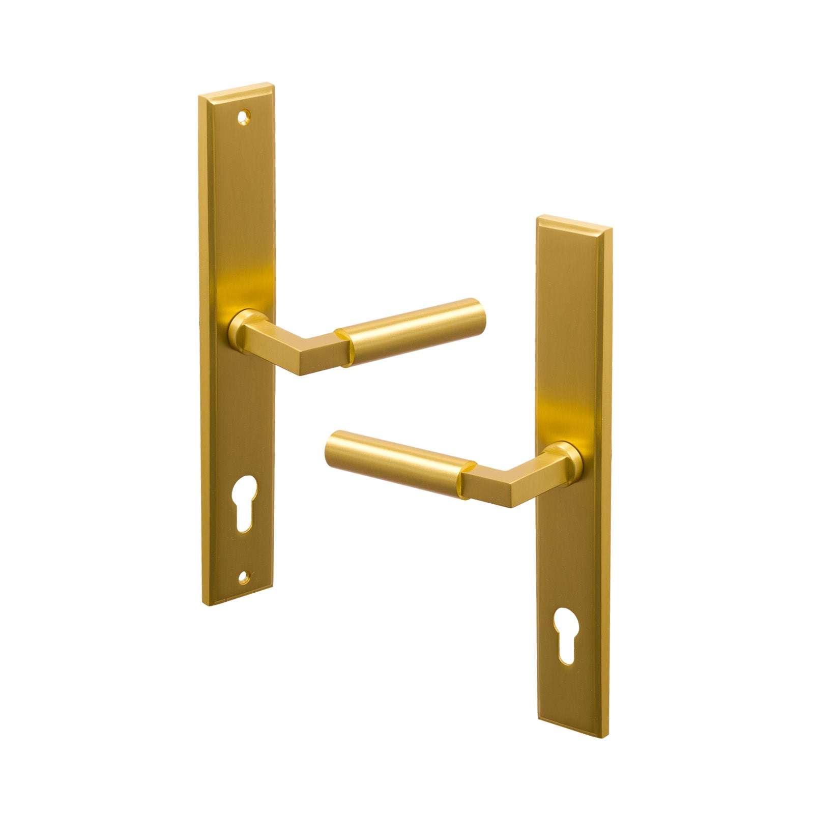 SHOW Left Handed Satin Brass Bauhaus Multipoint Door Handle