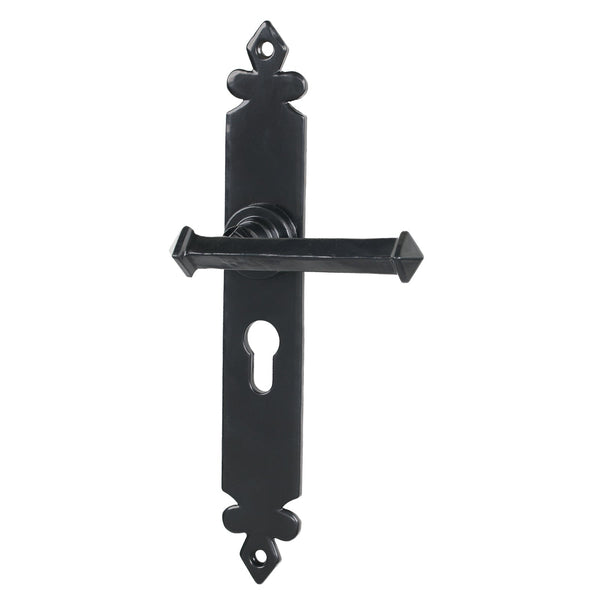 SHOW Black Euro Lock Tudor Lever Handles