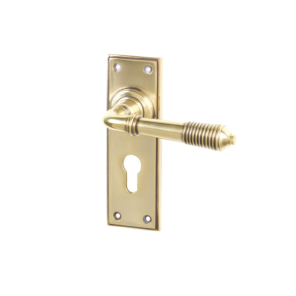 SHOW Antique Brass Euro Reeded Lever Handles