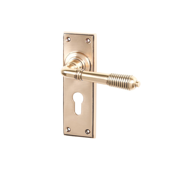 SHOW Polished Bronze Euro Reeded Lever Handles