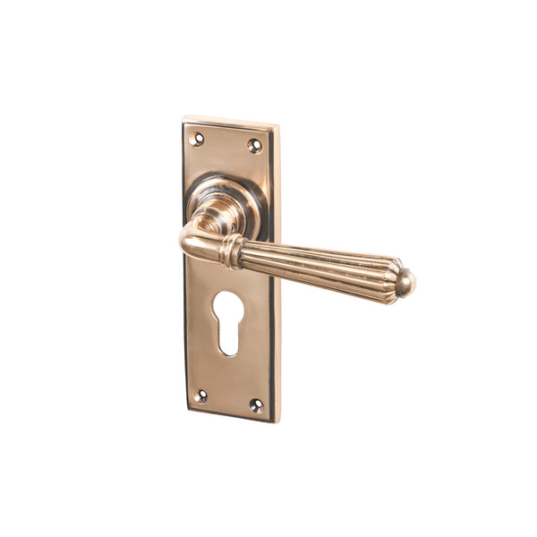 SHOW Polished Bronze Euro Hinton Lever Handles