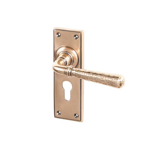 SHOW Polished Bronze Euro Hammered Newbury Lever Handles