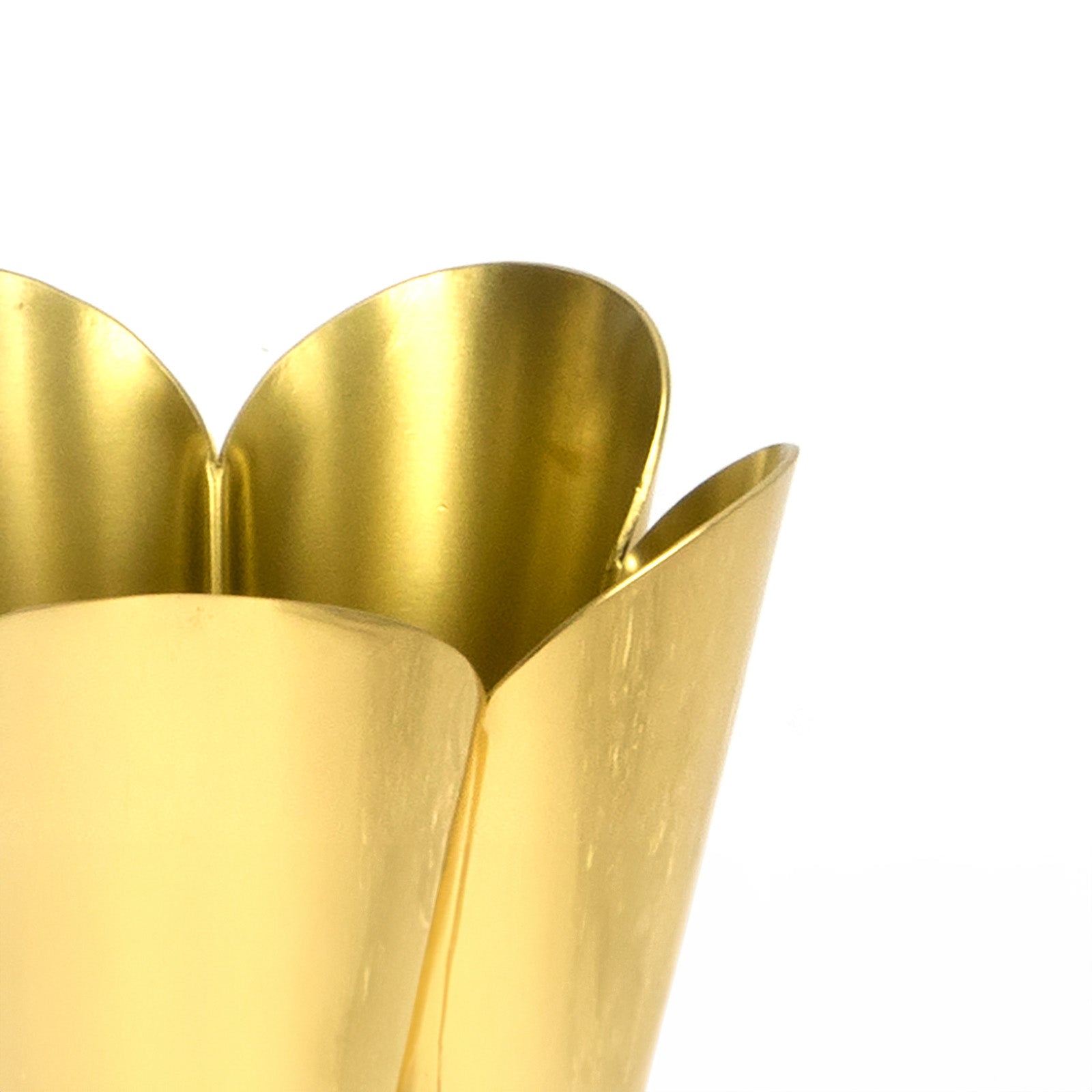 SHOW SHOW Close Up of Small Flora Pot in Smooth Brass