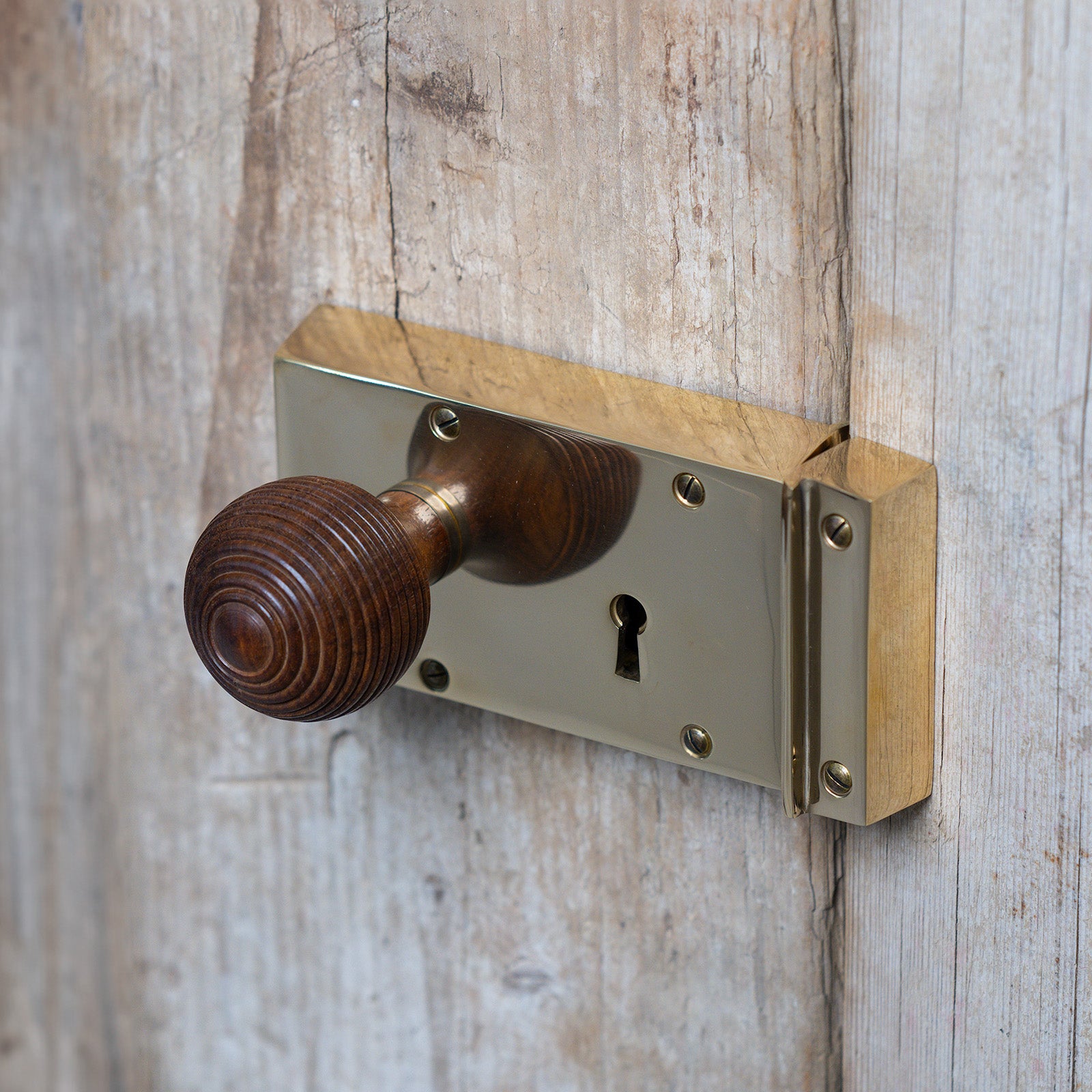 SHOW Lifestyle Photo Of Small Brass Rim Lock