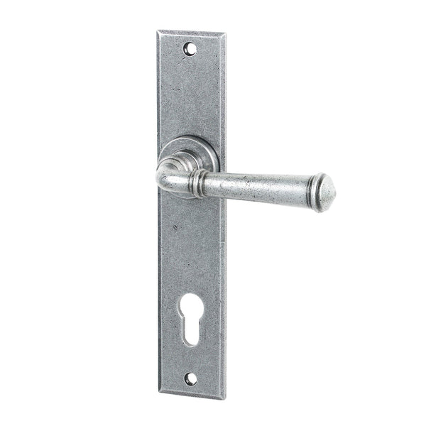 SHOW Pewter Patina Regency Multipoint Door Handle
