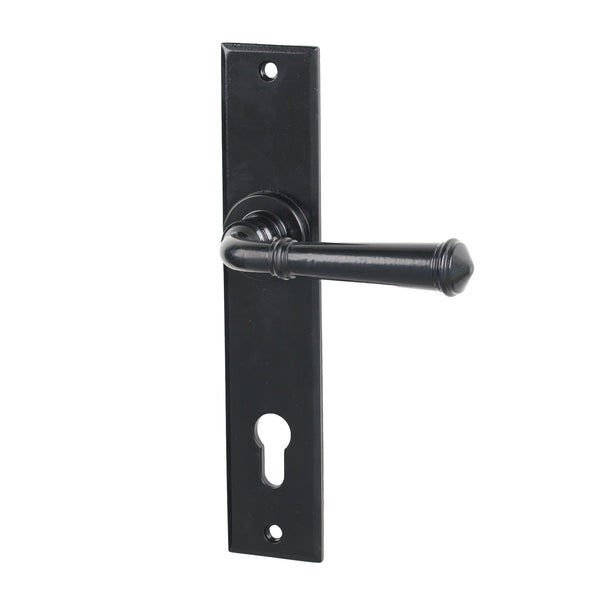 SHOW Black Regency Multipoint Door Handle