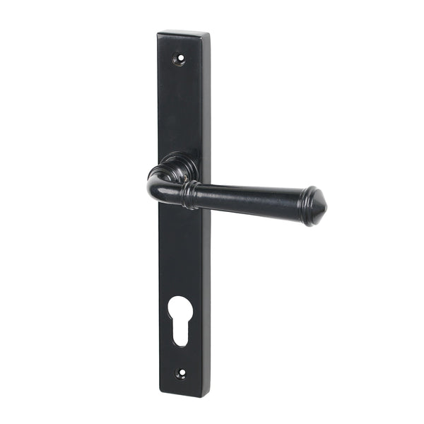 SHOW Black Regency Slimline Multipoint Door Handle
