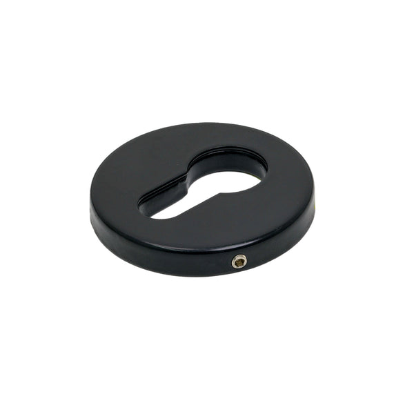 SHOW Black Regency Concealed Escutcheon
