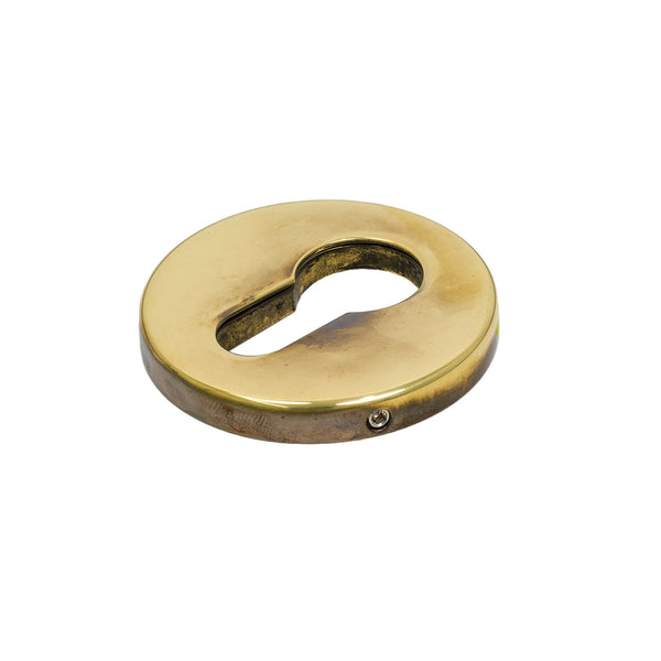 SHOW Antique Brass Regency Concealed Escutcheon