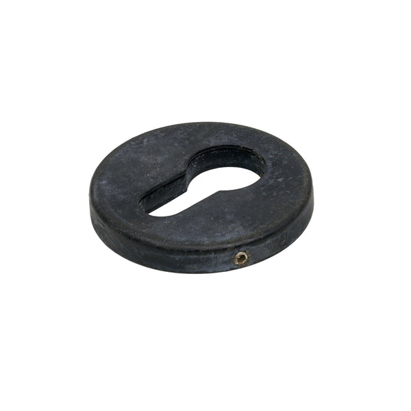 SHOW External Beeswax Regency Concealed Escutcheon