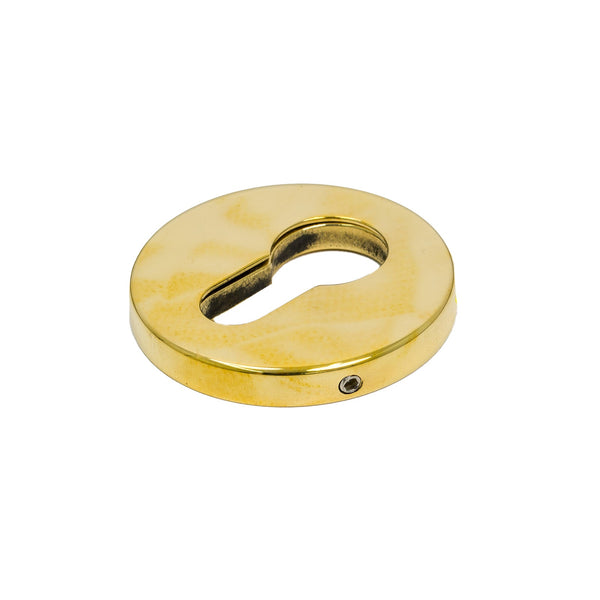 SHOW Polished Brass Regency Concealed Escutcheon