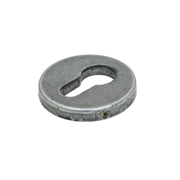 SHOW Pewter Regency Concealed Escutcheon