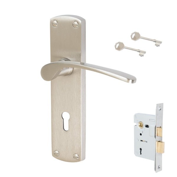 Diplomat Door Handles On Backplate | Classic Door Handles