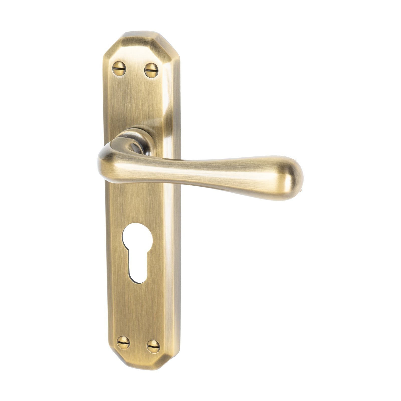 Charlbury Door Handles On Plate Euro Lock Handle in Aged Brass 