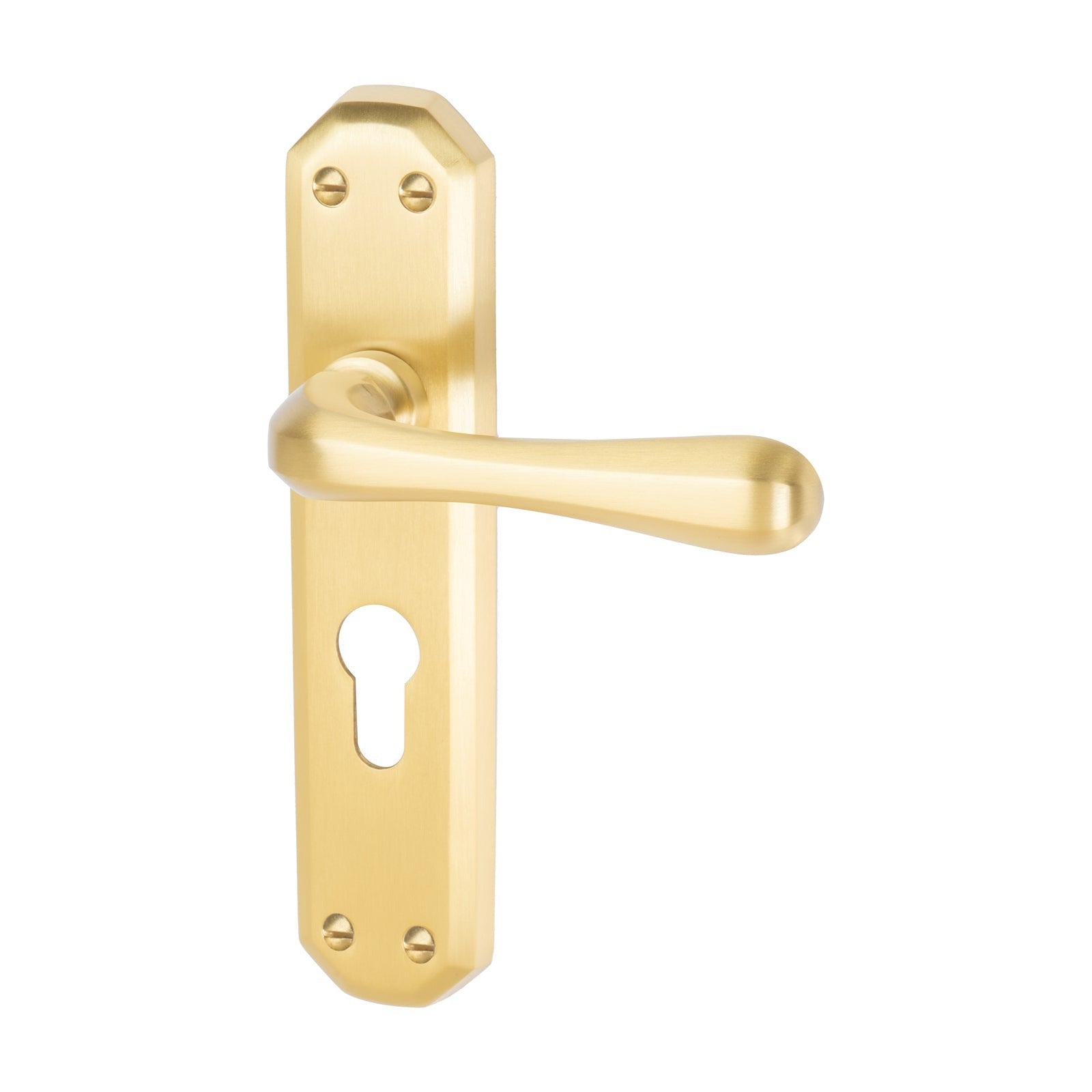 Charlbury Door Handles On Plate Euro Lock Handle in Satin Brass 