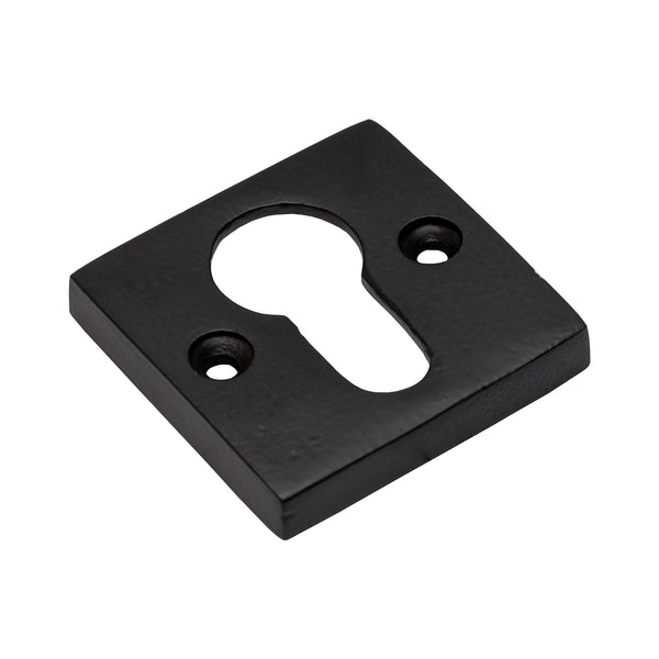 Euro Profile escutcheon SHOW