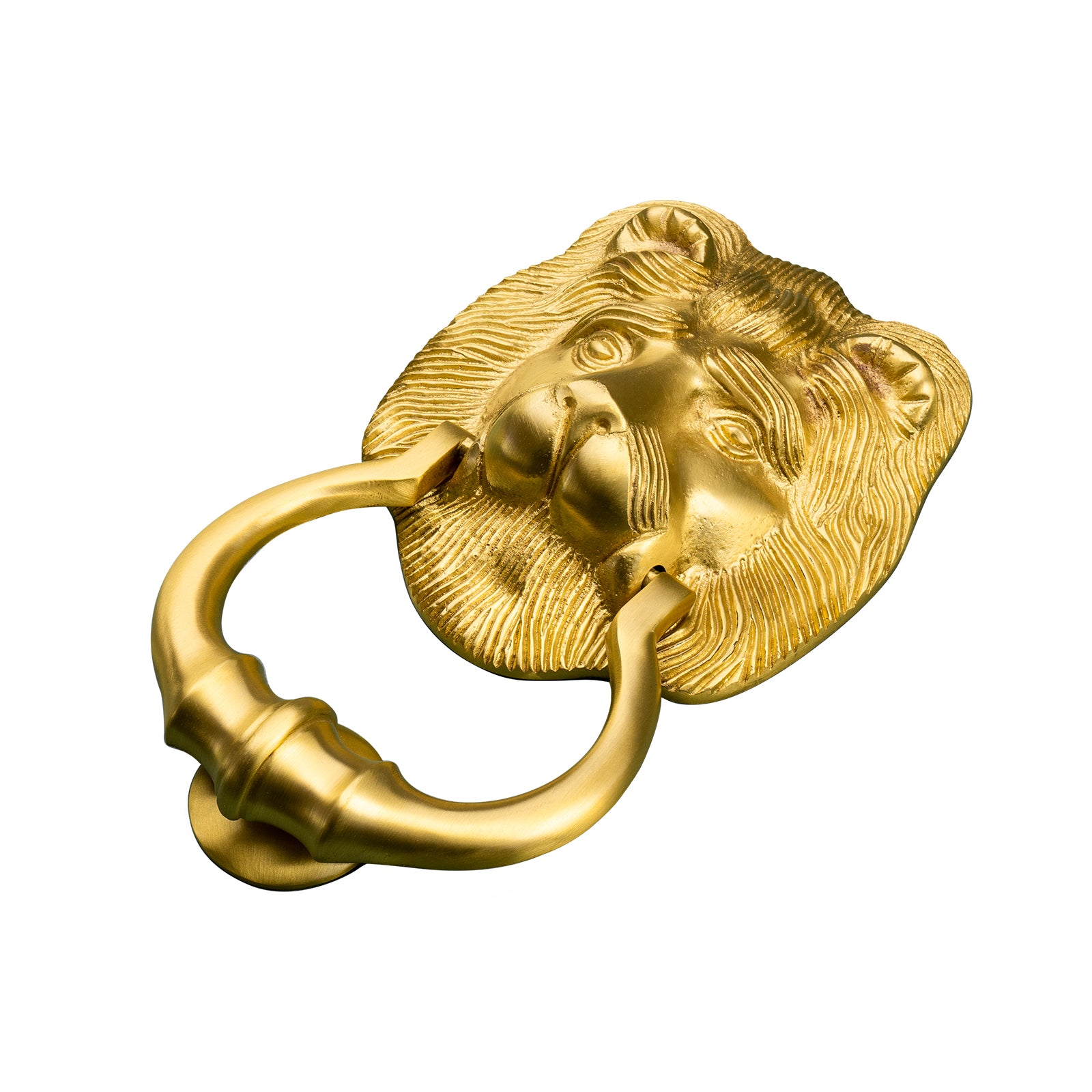 brass lion door knocker SHOW